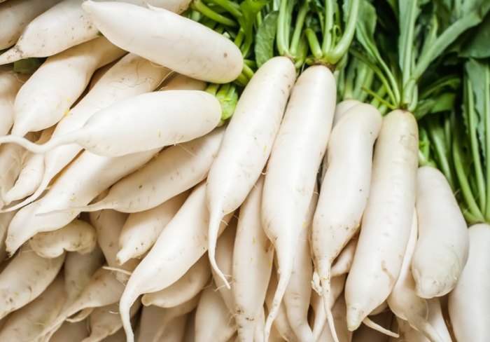 白蘿蔔飲食禁忌 白蘿蔔飲食禁忌