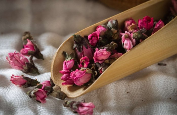 玫瑰花叶子卷曲原因