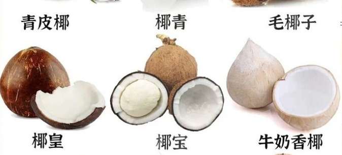 黃椰子果實食用