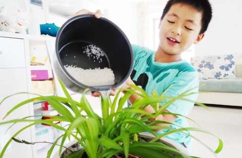 過濾水澆花注意事項