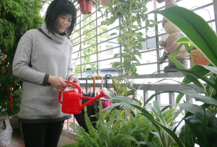 適合盆栽的蔬菜