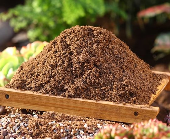 多肉泥炭土配方