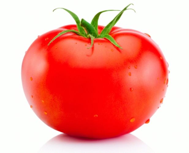 蕃茄種植方法 蕃茄種植方法