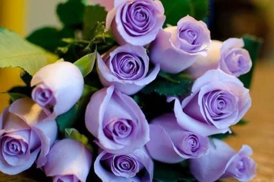 花的朵數意義 花的朵數意義