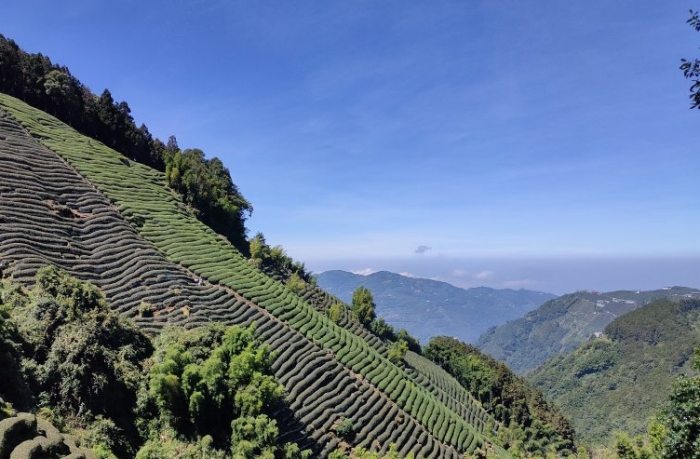 台灣山區天氣 台灣山區天氣