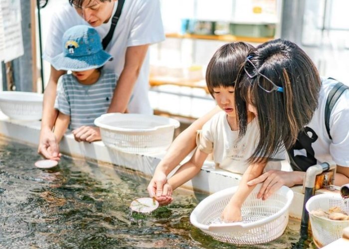 沖繩海葡萄旅遊 沖繩海葡萄旅遊