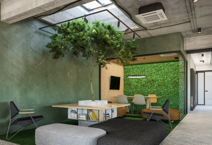 辦公室盆栽選擇