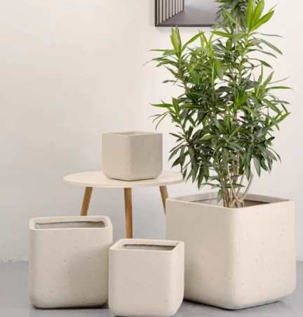 鎂泥花盆優點 鎂泥花盆優點