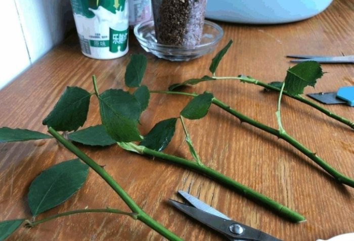 生根粉使用方法