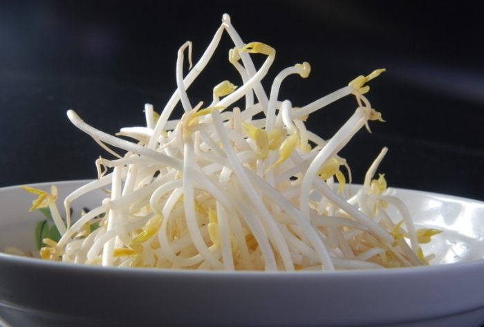 豆芽菜發芽安全