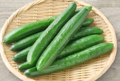 胡瓜種植時間 胡瓜種植時間