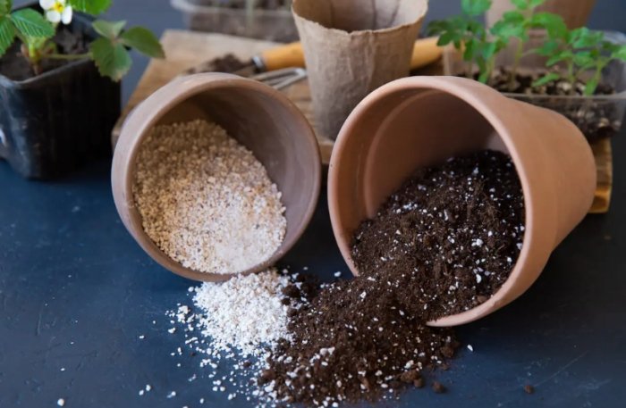 土壤發霉處理 土壤發霉處理