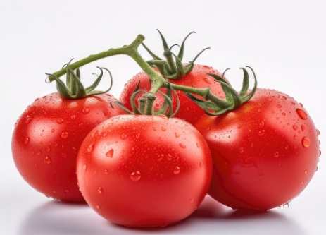 番茄營養價值 番茄營養價值