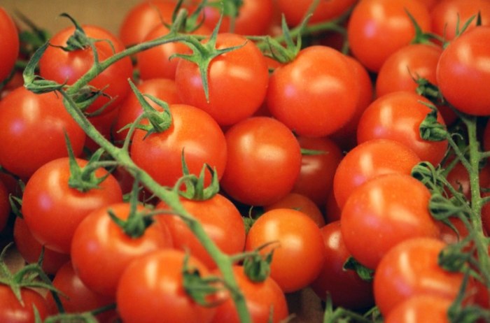 番茄剪枝方法 番茄剪枝方法