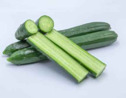 台灣胡瓜栽培 台灣胡瓜栽培