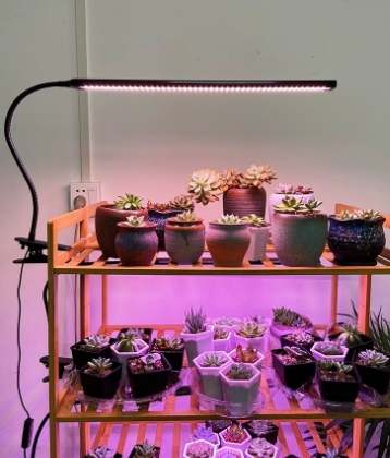 植物生長燈 植物生長燈