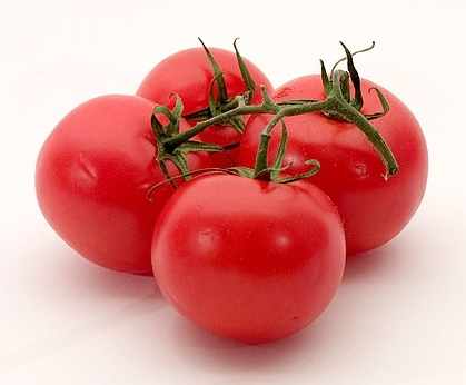 番茄種植剪枝 番茄種植剪枝