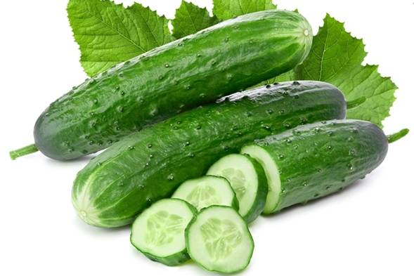 小黃瓜施肥頻率 小黃瓜施肥頻率