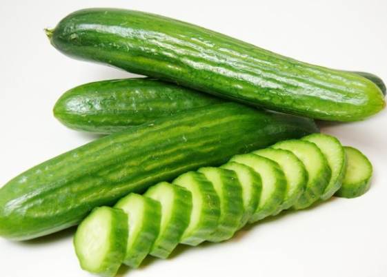 小黃瓜變黃 小黃瓜變黃