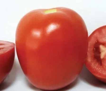 番茄空心果防治