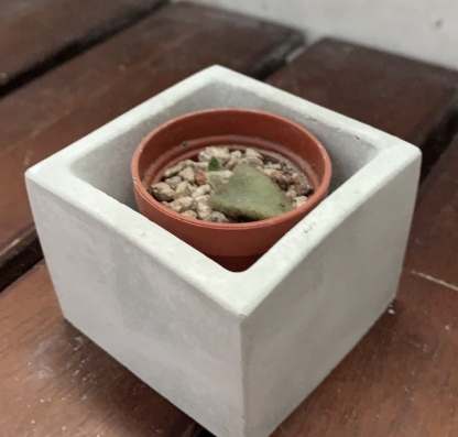 去除水泥盆鹼性 去除水泥盆鹼性