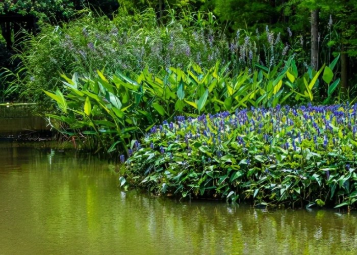 礦泉水澆花 礦泉水澆花