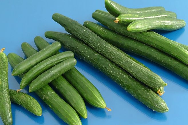 小黃瓜冷藏期限 小黃瓜冷藏期限