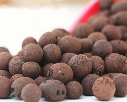 發泡煉石園藝用途