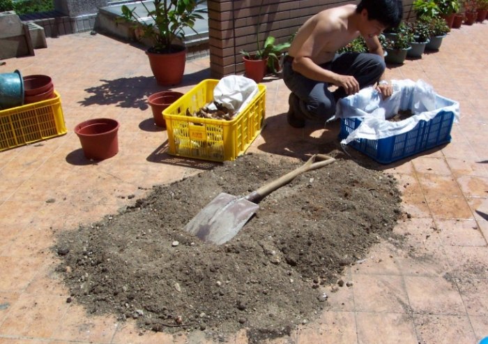 盆栽養護技巧 盆栽養護技巧