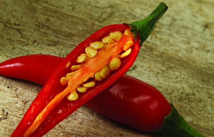 辣椒過度澆水症狀 辣椒過度澆水症狀