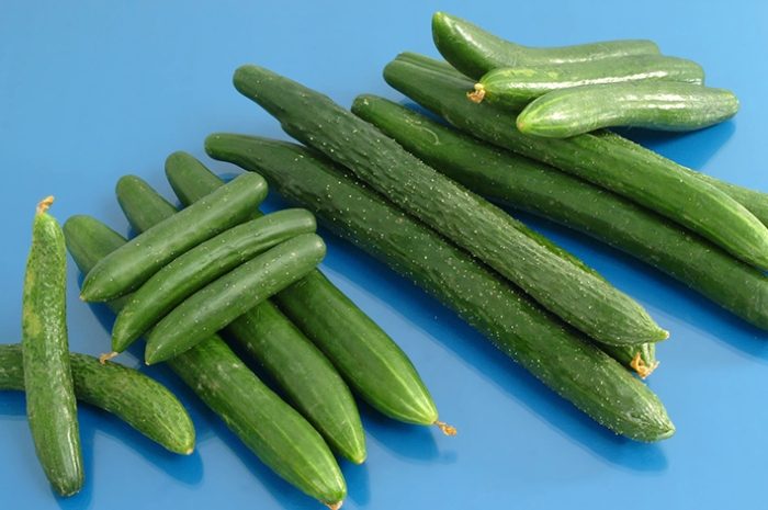 蔬菜種植溫度控制 蔬菜種植溫度控制