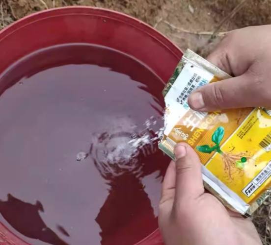 DIY生根水 DIY生根水