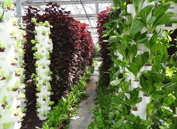 有機營養液配方