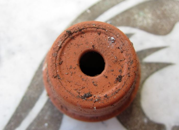 盆栽養護技巧 盆栽養護技巧