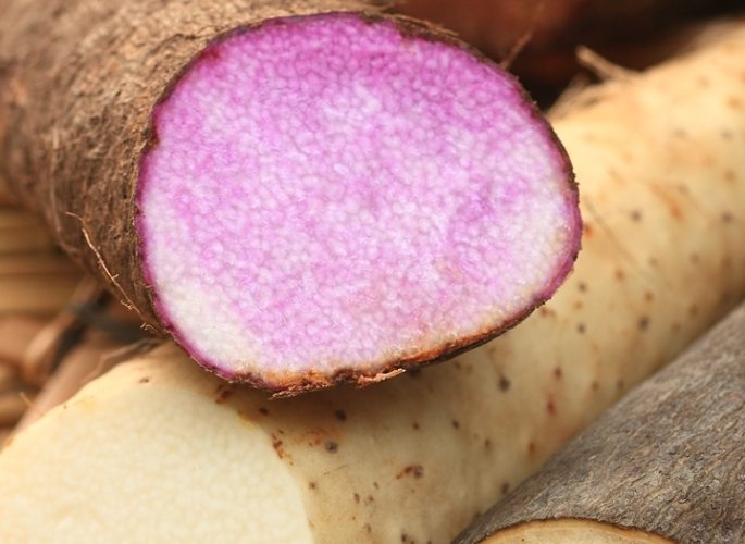 發芽山藥食用安全