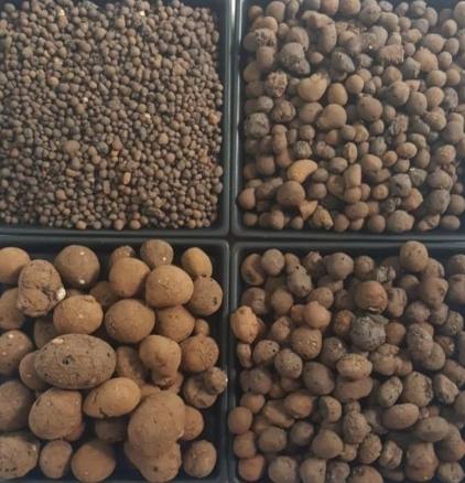 發泡煉石園藝用途