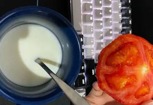 番茄牛奶副作用 番茄牛奶副作用