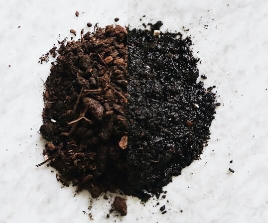 盆栽土壤過濕處理