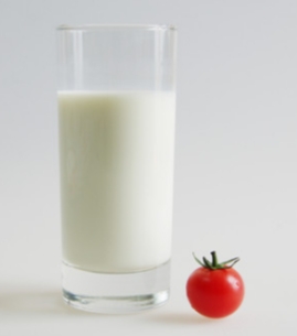 番茄牛奶食譜 番茄牛奶食譜
