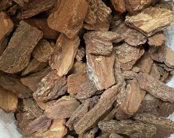 樹皮介質發霉處理 樹皮介質發霉處理