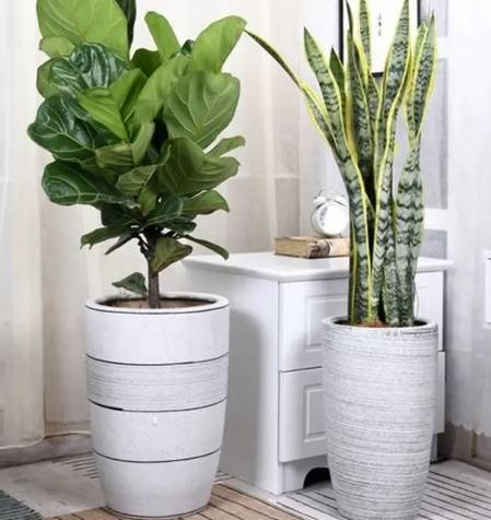 大花盆排水技巧