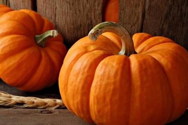 南瓜只開花不結果