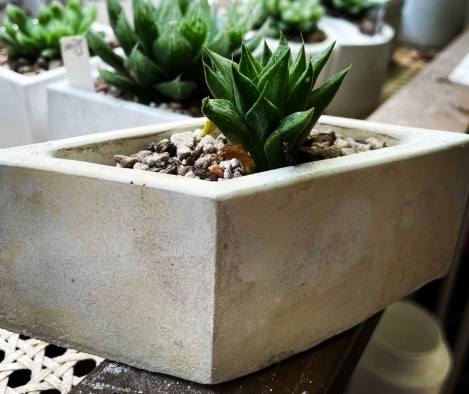 去除水泥盆鹼性 去除水泥盆鹼性