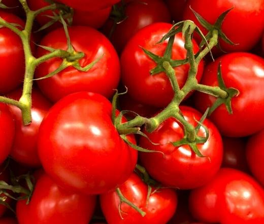 番茄剪枝方法 番茄剪枝方法