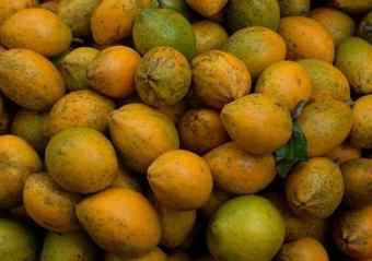 雞蛋果病虫害防治 雞蛋果病虫害防治