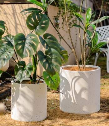 鎂泥花盆選購 鎂泥花盆選購