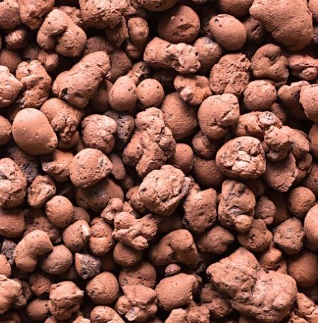 發泡煉石園藝用途