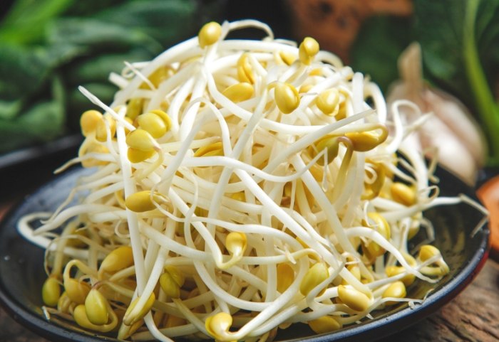 豆芽菜發芽安全