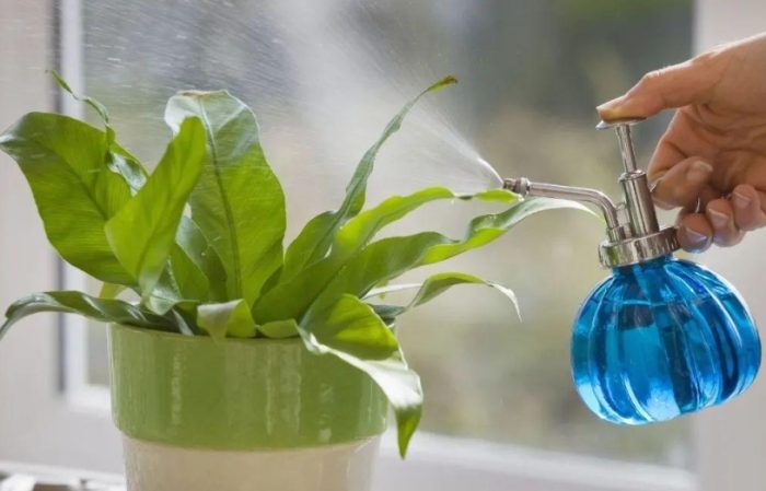 水族箱水澆花 水族箱水澆花