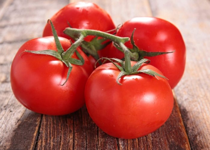 西红柿最适温度 西红柿最适温度